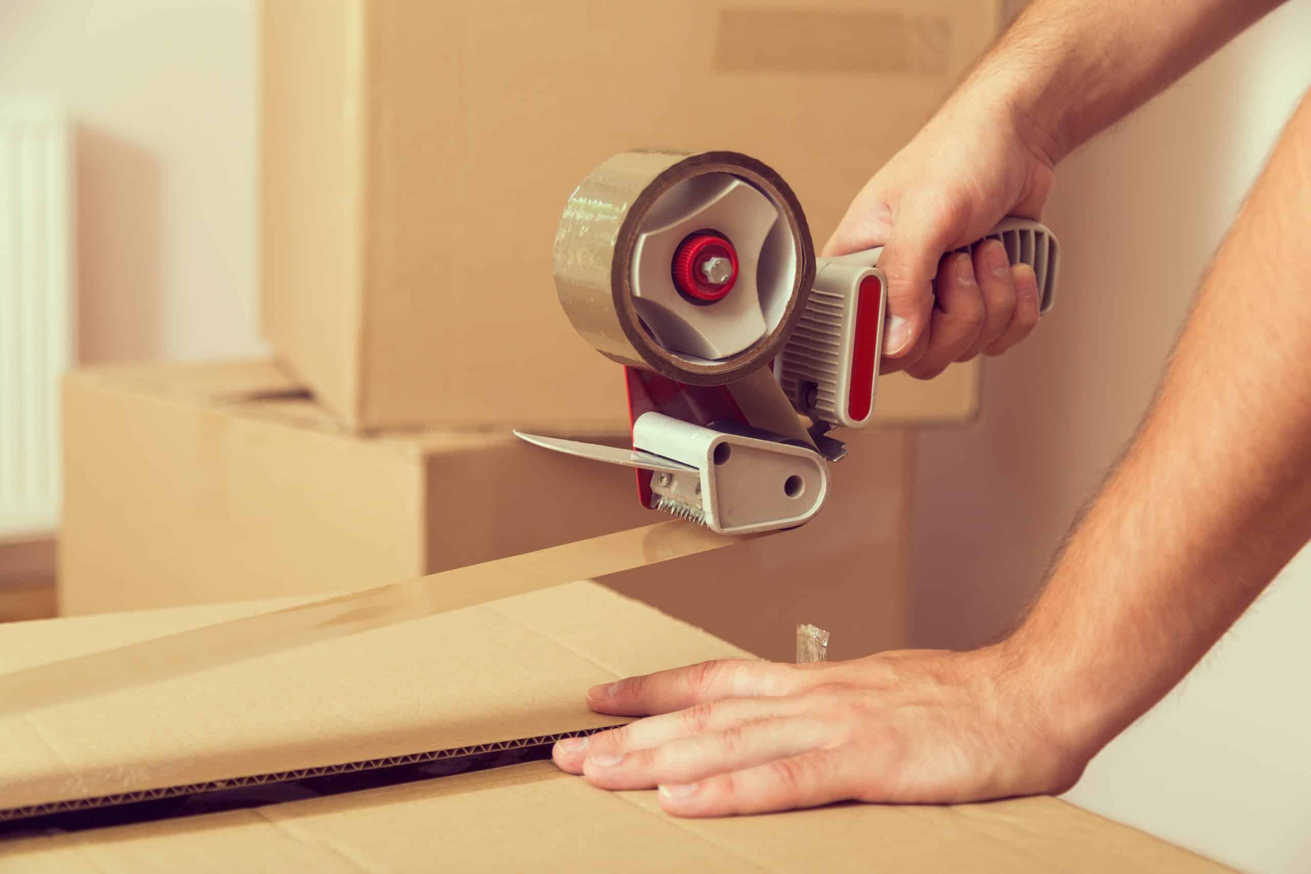 Conquering the Concrete Jungle: Best Packers & Movers Services in Delhi
